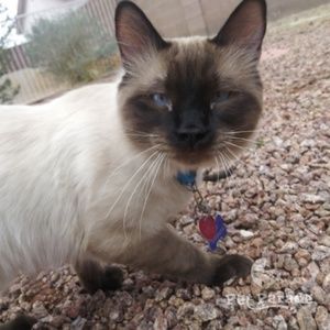 Meet your Posher, Daylin